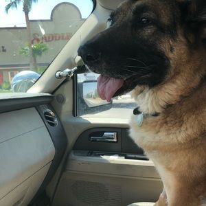 Meet your Posher, John